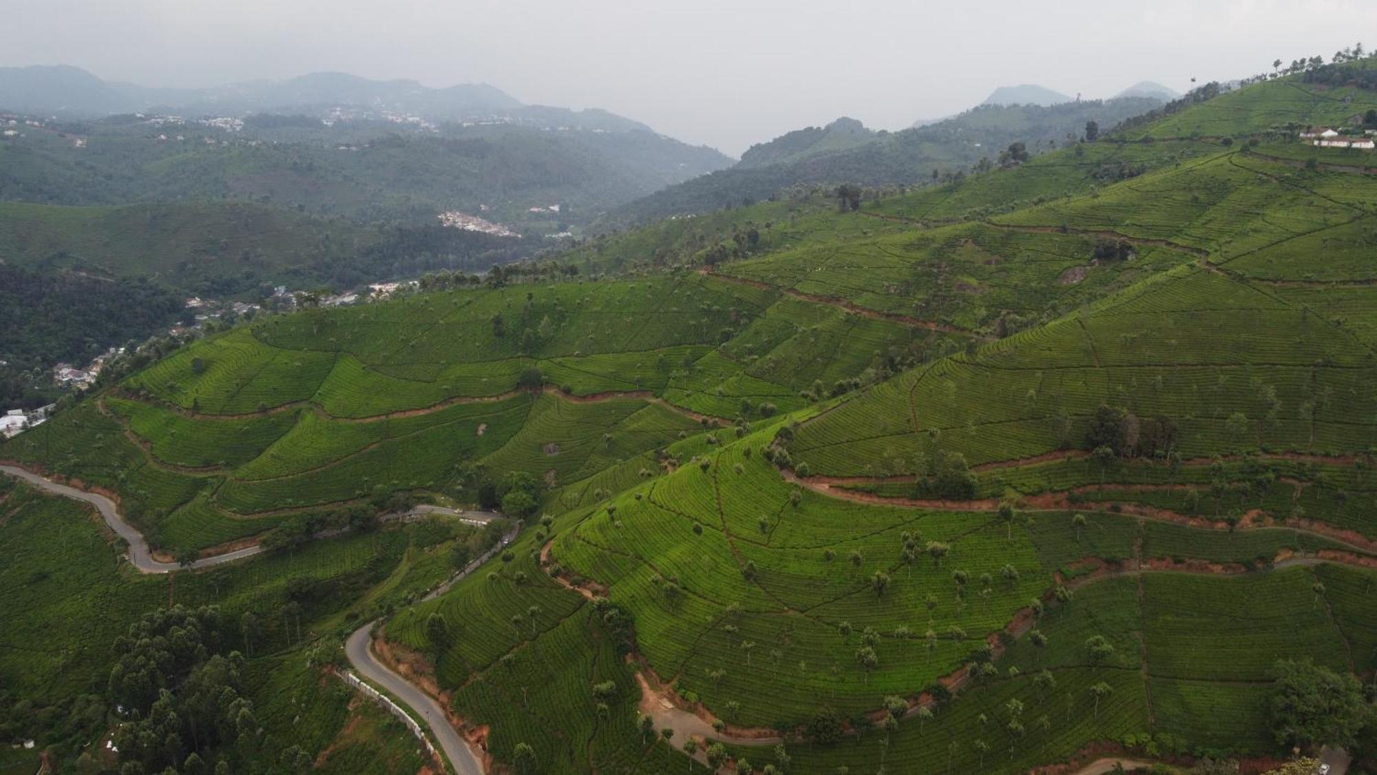Casa De Selas Coonoor Εξωτερικό φωτογραφία