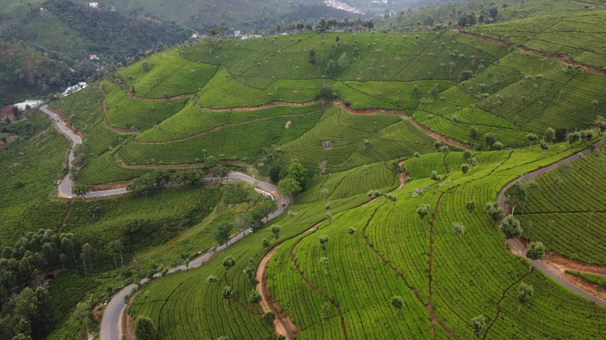 Casa De Selas Coonoor Εξωτερικό φωτογραφία